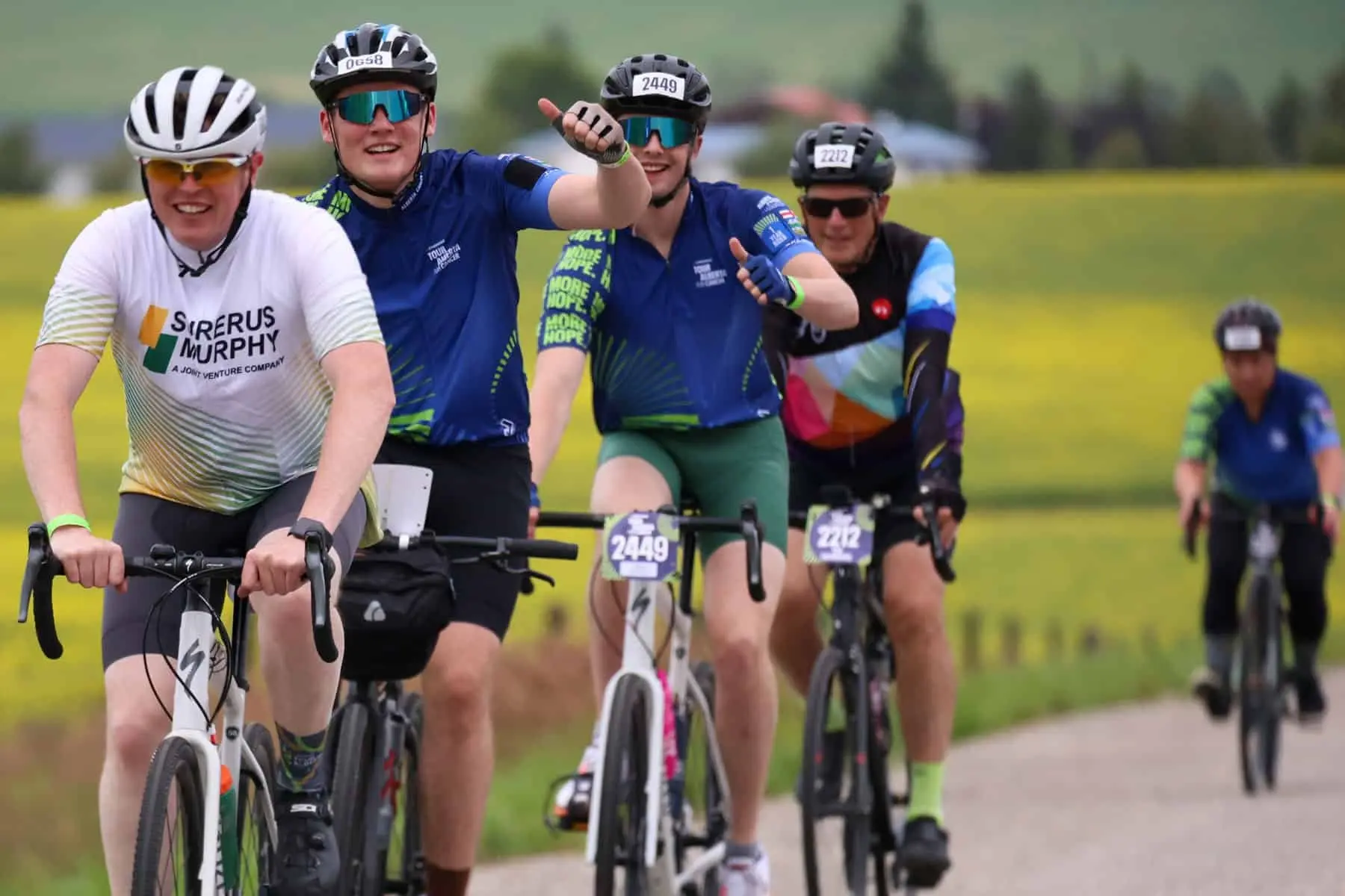 Four cyclists race on a rural road past a yellow canola field.