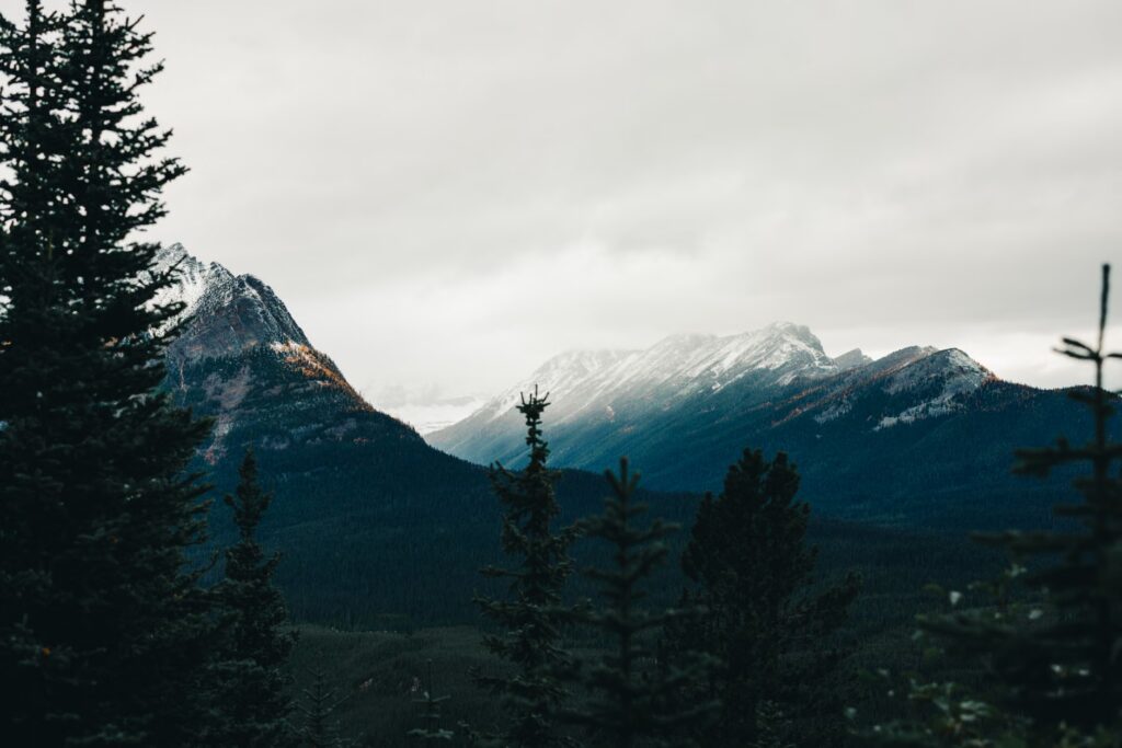 Canada Investment Summit