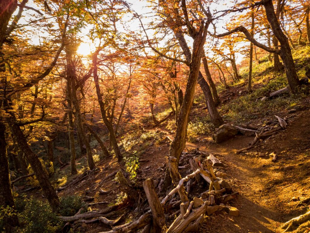El Niño fall outlook