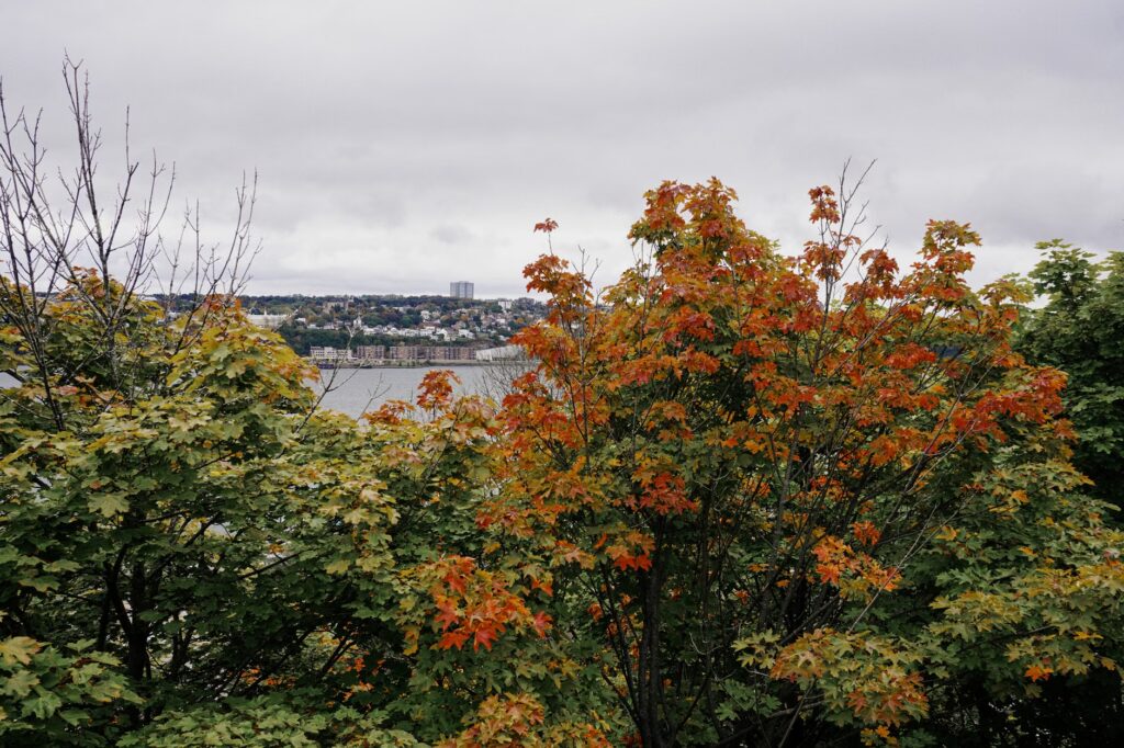 National Gallery of Canada fall season