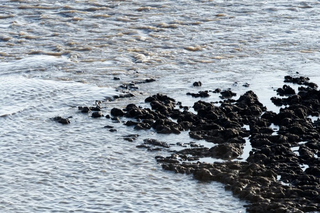 oilsands impact assessment exemption