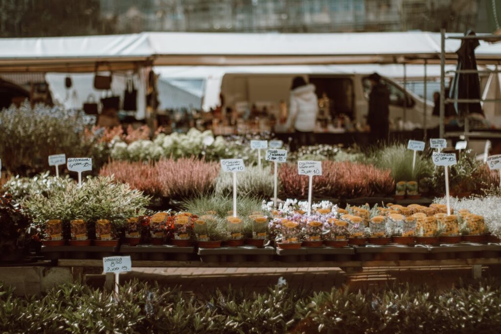 Stellantis Brampton plant sale