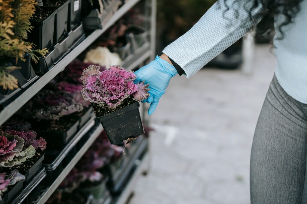 Stellantis Brampton plant sale