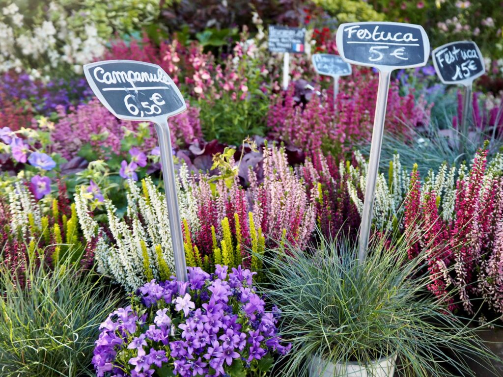 Stellantis Brampton plant sale