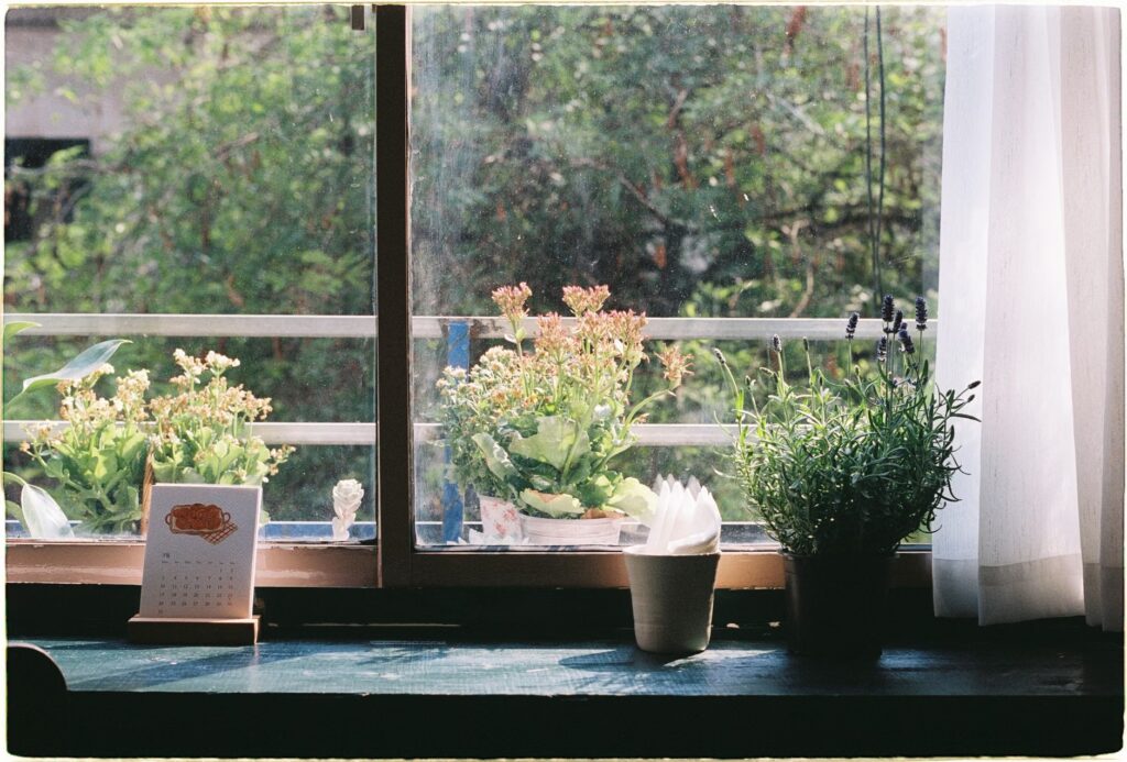 Sunlit windowsill featuring potted plants and a calendar, creating a peaceful indoor scene.