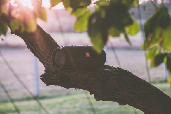 JBL Speakers Draw Canadian Audio Enthusiasts Seeking Crystal-Clear Sound